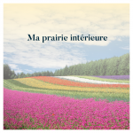 Ma prairie intérieure 2022-02-19_14h45_28_1971380943.png