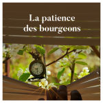 La patience des bourgeons 2022-02-19_14h48_58.png