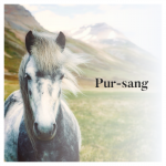 Pur-sang 2022-02-20_11h53_28.png